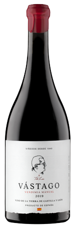 Vstago Tinto 2020